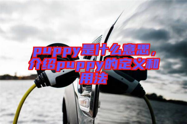 puppy是什么意思，介紹puppy的定義和用法