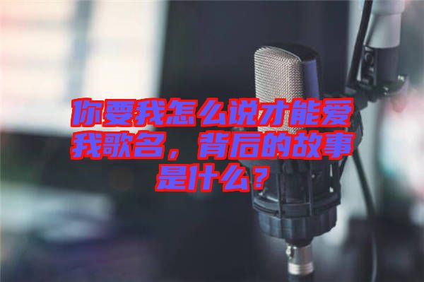 你要我怎么說才能愛我歌名，背后的故事是什么？