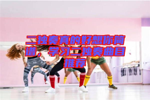 二獨(dú)奏真的好想你簡譜，學(xué)習(xí)二獨(dú)奏曲目推薦