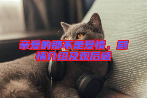 親愛的那不是愛情，劇情介紹及觀后感