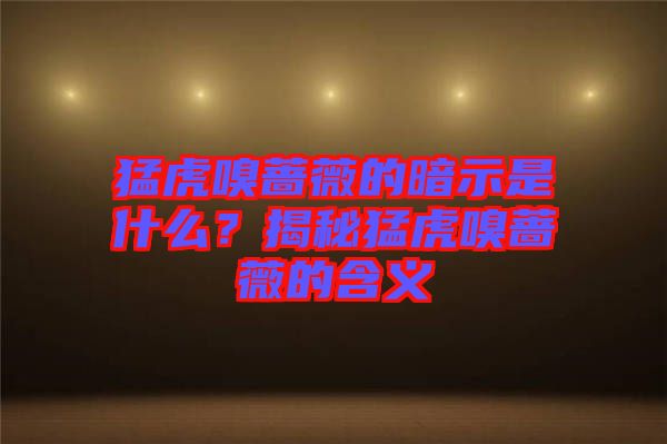 猛虎嗅薔薇的暗示是什么？揭秘猛虎嗅薔薇的含義