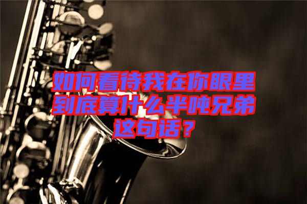 如何看待我在你眼里到底算什么半噸兄弟這句話？