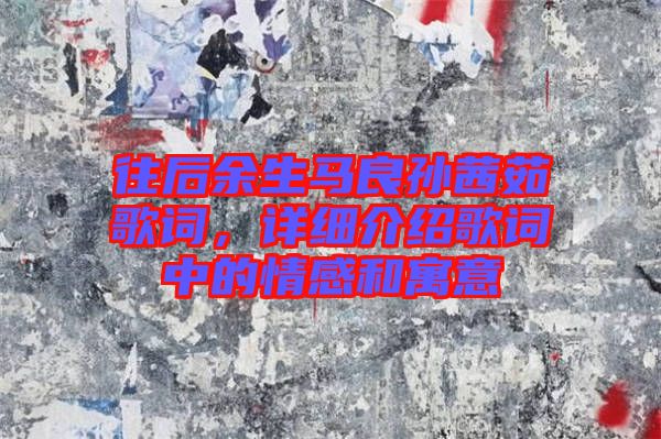 往后余生馬良孫茜茹歌詞，詳細介紹歌詞中的情感和寓意