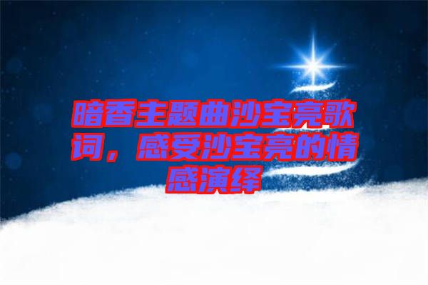 暗香主題曲沙寶亮歌詞，感受沙寶亮的情感演繹