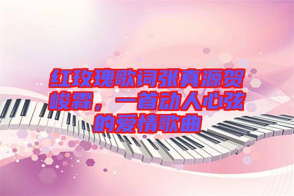 紅玫瑰歌詞張真源賀峻霖，一首動人心弦的愛情歌曲
