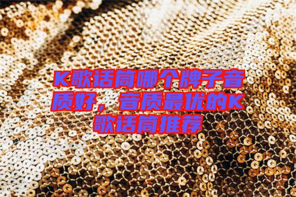 K歌話筒哪個牌子音質好，音質最優的K歌話筒推薦