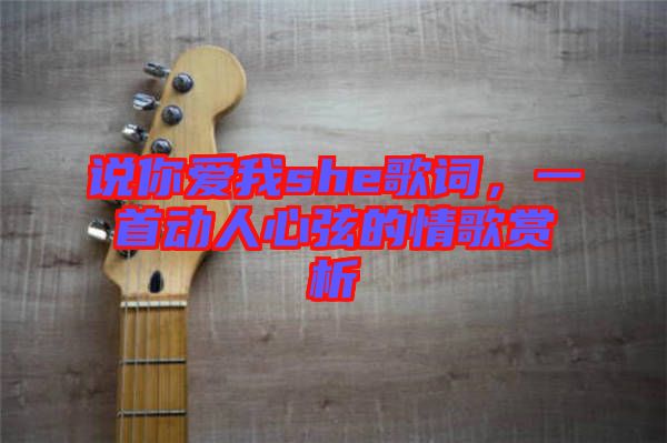 說你愛我she歌詞，一首動人心弦的情歌賞析