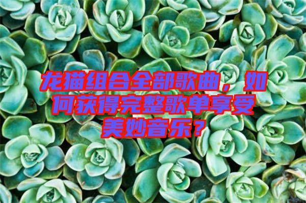 龍貓組合全部歌曲，如何獲得完整歌單享受美妙音樂？