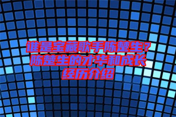 誰是寶藏歌手陳楚生？陳楚生的才華和成長經歷介紹
