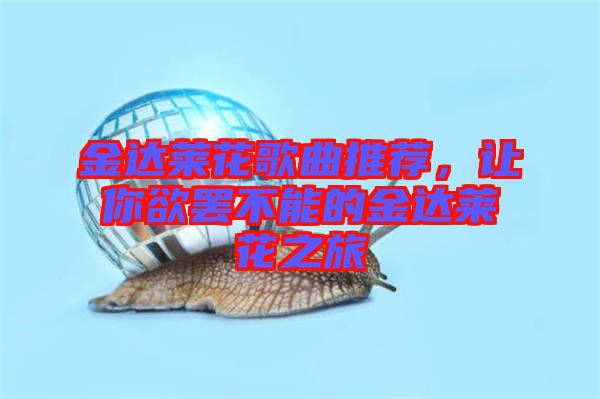 金達萊花歌曲推薦，讓你欲罷不能的金達萊花之旅