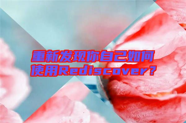 重新發(fā)現(xiàn)你自己如何使用Rediscover？