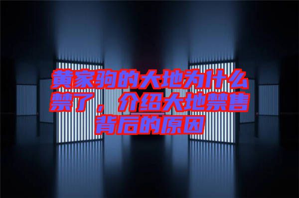 黃家駒的大地為什么禁了，介紹大地禁售背后的原因
