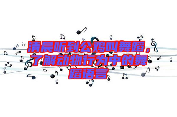 清晨聽到公雞叫舞蹈，了解動物行為中的舞蹈語言