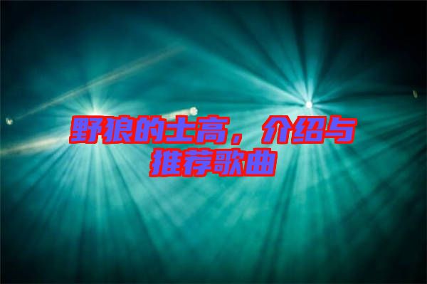 野狼的士高，介紹與推薦歌曲