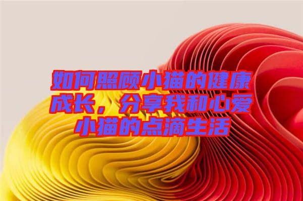 如何照顧小貓的健康成長，分享我和心愛小貓的點滴生活