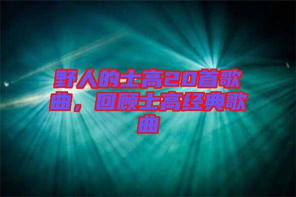 野人的士高20首歌曲，回顧士高經(jīng)典歌曲