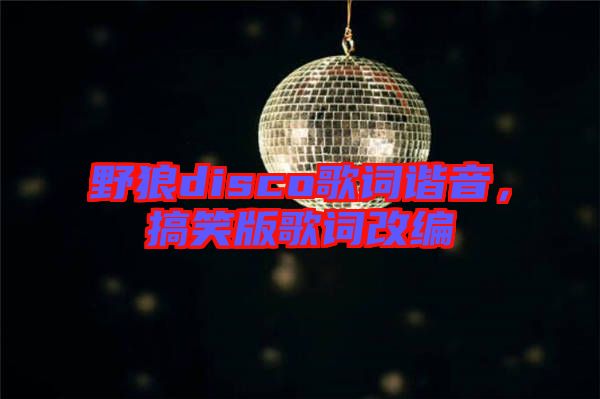 野狼disco歌詞諧音，搞笑版歌詞改編